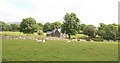 Isfryn Cottage on the Gwynfryn Estate