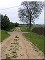 Farm track crosses Loddon Ingloss Road