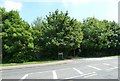 Looking across Blackbrook lane towards Jubilee Country Park