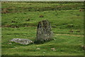 SN9576 : Standing stone near Cefn Llech Farm by Philip Halling