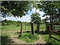 Junction of footpaths, Peterbrook