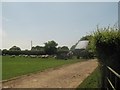 Feeding the Sheep in Hornbrook Farm