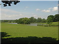 TQ9532 : Pond near Hornbrook Farm by David Anstiss