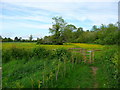 Chilbolton - Footpath