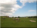 Rock outcrops in sheep pastures