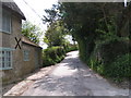 Lane looking west from the well at Donhead St Mary