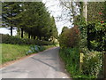 Cycle route heading east from the well at Donhead St Mary