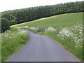 Hill road heading towards Chesters