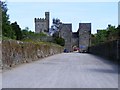 X0498 : Approach to Lismore Castle, Lios Mor by Mac McCarron