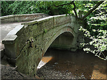 NT2170 : Bridge over Water of Leith by Rob Burke
