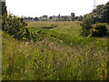 Mersey Vale Nature Park