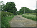 Farm track north of Worminghall