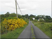 C2238 : Road near Drumtinny by Kenneth  Allen