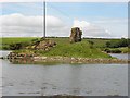 C1838 : Moross Castle near Ross Point by Kenneth  Allen