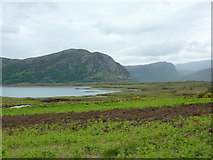 NC3956 : Head of Loch Eriboll by sylvia duckworth