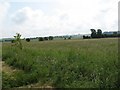 Fields near Upton Scudamore