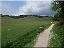 SU7118 : South Downs Way leading towards Butser Hill by Tim Heaton