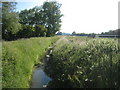 Orby Beck and Orby Bank at Habertoft