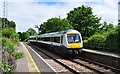 TM4796 : National Express 170 272 passes through Somerleyton Station by Ashley Dace