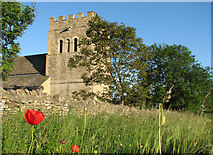 SP9799 : Tixover: St Luke - tower and poppies by John Sutton