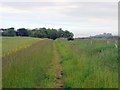 Footpath west of Shada Plantation