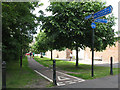 Cycleway on North Holmes Road