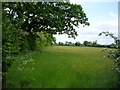 Field opposite Brick Farm