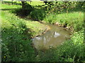 Meandering stream at Dunsfold Ryse