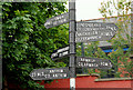 Sandy Row community garden, Belfast (2)