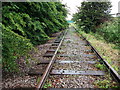 Disused railway line near North Road