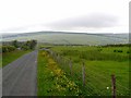 Country road on Bicton Hill