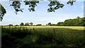 Farmland near Meadowlands, Ashley, Cheshire