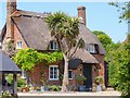 Thatched Cottage with Cordyline