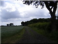 TM3772 : Footpath to Packway Farm by Geographer