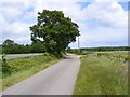 TM3972 : Bridge Road to the A144 Bramfield Road by Geographer