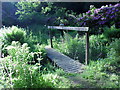 A small bridge forms part of the path in Dundock Woods