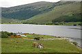 Aultanrynie and Loch More