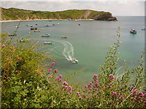 SY8279 : West Lulworth: view down across the Cove by Chris Downer