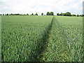 Ickleford: Footpath to Holwell