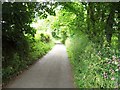 Access road to the A499