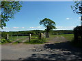 Double gates south side of Gisburn Road