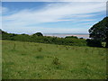 Footpath across fields above the Dee estuary