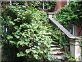 Stairway at Warwick House, Easton Lodge