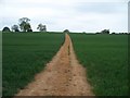 Footpath crosses bridleway [4]