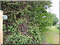 TM3570 : Footpath to Heveningham Long Lane & Mill Road by Geographer