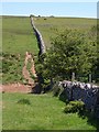 Dry stone wall, Eastwater