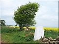 SP1842 : Triangulation pillar on Ebrington Hill by Michael Dibb