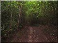 Footpath in Dunstan