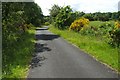 NS3976 : Cycle Route 7 at Mains of Cardross by Lairich Rig