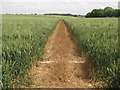 Footpath towards Sole Street